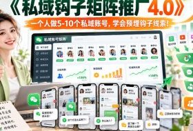 【无水印】《私域钩子矩阵推广4.0》一个人做5-10个私域账号，学会预埋钩子线索！