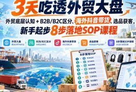3天吃透外贸大盘,外贸底层认知+B2B/B2C区分、海外抖音带货、选品获客,新手起步8步落地SOP课程