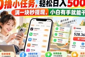 0撸小任务,轻松日入500+,满一块秒提现,小白有手就能干,动动手指就能賺
