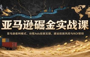 亚马逊掘金实战课:亚马逊套利模式,谷歌Ads投放实操,建站投放风控与ROI管控