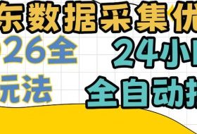 京东数据采集优化,单机日入300+,24小时纯挂G项目,适合所有人群【揭秘】