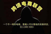 （20702期）跨境电商联营，一个不一样的电商，普通人可操作日入300-500+