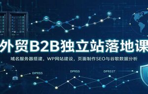 外贸B2B独立站落地课：域名服务器搭建，WP网站建设，页面制作SEO与谷歌数据分析