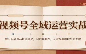 视频号全域运营实战：账号运转选品投流转化，AI内容制作，SOP落地微信生态变现