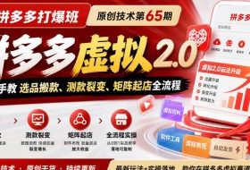 《拼多多打爆班》原创技术第65期,拼多多虚拟2.0,手把手教选品搬款、测款裂变、矩阵起店全流程