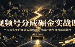 视频号分成掘金实战课：十大高客单价赛道实操玩法，分成开通与涨粉运营技巧