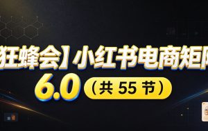 小红书电商实战6.0：开店配置多元选品，搬款AI图文矩阵运营，发货售后放大店铺收益