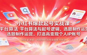 小红书爆款起号实战课：平台算法与起号逻辑，选题制作运营，打造高变现个人IP账号