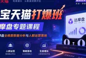 《淘宝天猫打爆班》原创技术第87期,达摩盘专题课程,专注达摩盘全维度数据分析与人群运营落地