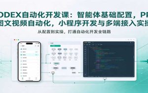 CODEX自动化开发课：智能体基础配置，PPT图文视频自动化，小程序开发与多端接入实操