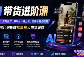 AI带货进阶课｜创意复刻、混剪量产、多平台一键分发、创意导演全链路，从单条出片到矩阵批量放大带货收益