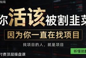 做项目不如卖项目，做知识付费自己当老板，知识付费顶层操盘课，听懂就翻盘【揭秘】