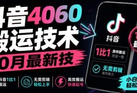 抖音4060搬运技术，10月最新技，抖音1比1搬运，无需剪辑