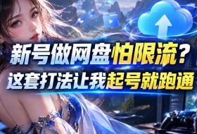 新号做网盘怕限流？这套打法让我起号就跑通，网盘项目推广的8.0版本教学