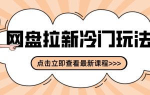 网盘拉新贴吧冷门玩法2-3天变现，实操细节全拆解快速上手拓展收益渠道