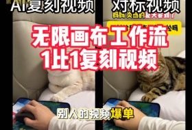 宠物带货视频复刻，无限画布工作流1比1，不用拍摄、不用布景、不用真人出镜，几分钟就能做出一条专业带货视频