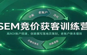 SEM竞价获客训练营:高ROI账户搭建,创意撰写落地页策划,老账户降本增效