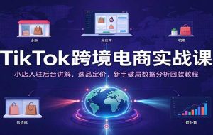 TikTok跨境电商实战课:小店入驻后台讲解,选品定价,新手破局数据分析回款教程