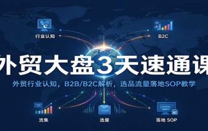 外贸大盘3天速通课：外贸行业认知，B2B/B2C解析，选品流量落地SOP教学