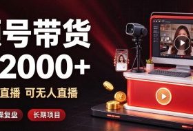 通过视频号带货日入2k+,可纯视频可直播可无人直播,多种玩法,长期项目【揭秘】