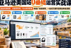 亚马逊美国站0基础运营实战课|选品利润核算、关键词布局、FBA库存管理、新品广告投放等,一站式打通开店到出单全流程