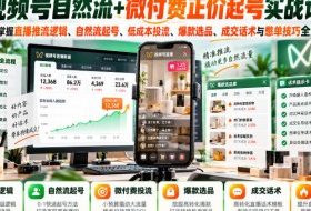 视频号自然流+微付费正价起号实战课:系统掌握直播推流逻辑、自然流起号、低成本投流、爆款选品、成交话术与憋单技巧全流程