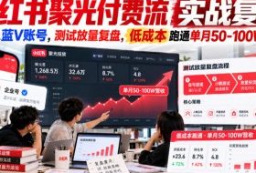 小红书聚光付费流实战复盘|小团队蓝V账号,测试放量复盘,低成本跑通单月50‑100W营收【文档】