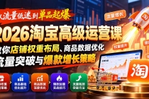 (20952期)从流量低迷到单品起爆:2026淘宝高级运营课教你店铺权重布局、商品数据优化、流量突破与爆款增长策略