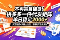 (20955期)不再盲目铺货!拼多多一件代发矩阵落地攻略,提供优质货源店铺运营全流程,零基础可直接复制