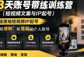 28天账号带练训练营(短视频文案与IP起号),直接落地短视频IP起号,打造能涨粉、能变现的个人账号