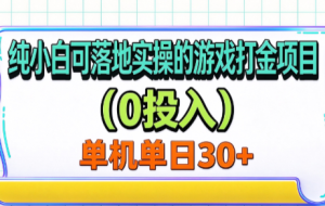 纯小白可落地实操的游戏打金项目(0投入)单机单号30+