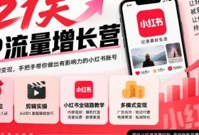 21天IP流量增长营，小红书全链路教学，账号定位剪辑实操，多模式变现系统课