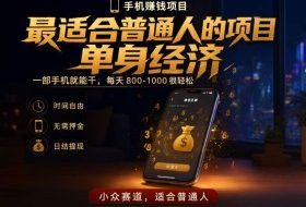 单身经济小众赛道，每天800-1000，一部手机就能干，最适合普通人的项目【揭秘】