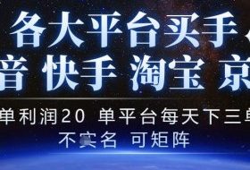 抖音买手项目，一单利润20左右，单号每天下三单，可矩阵，稳定适合长期副业【揭秘】