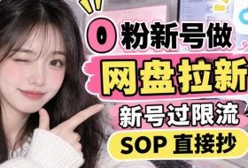 0粉新号做网盘拉新,新号过限流,SOP直接抄