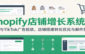 Shopify店铺增长系统课:FB与TikTok广告投放,店铺搭建转化优化与邮件营销