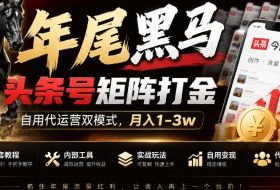 【年尾黑马】头条号矩阵打金,自用代运营双模式,月入1-3w,附全套教程及内部工具【揭秘】
