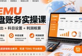 TEMU全盘账务实操课|账单导出+科目设置+利润核算,跨境卖家做账全教学,吃透TEMU平台账务