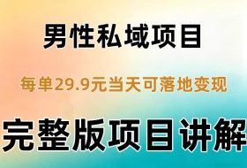 男性私域项目每单29.9,当天就能落地变现【不是S粉项目】详细拆解