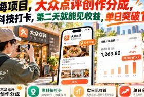 蓝海项目,大众点评创作分成,黑科技打卡,第二天就能见收益,单日突破1k+【揭秘】
