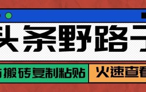 头条号野路子玩法，零成本起号无脑搬砖复制粘贴，普通人稳稳月入过万