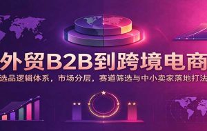 外贸B2B到跨境电商：选品逻辑体系，市场分层，赛道筛选与中小卖家落地打法