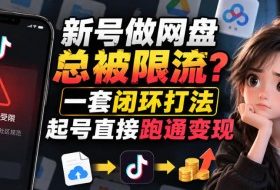 小白新号过限流:别发链先养号,12步SOP直接抄