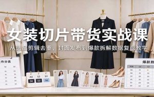 女装切片带货实战课:从选品剪辑去重,封面发布到爆款拆解数据复盘教学