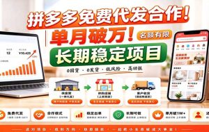 拼多多免费代发合作｜单月破万！长期稳定项目，名额有限