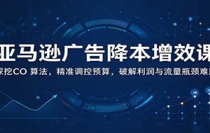 亚马逊广告降本增效课：深挖CO 算法，精准调控预算，破解利润与流量瓶颈难题