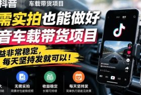 无需实拍也能做好抖音车载带货项目,收益非常稳定,每天坚持发就可以!