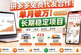 拼夕夕电商免费代发合作模式,单月破1W+,不用囤货、不用运营(名额有限)【揭秘】