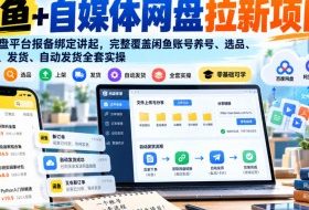 闲鱼+自媒体网盘拉新项目，从网盘平台报备绑定讲起，完整覆盖闲鱼账号养号、选品、上架、发货、自动发货全套实操