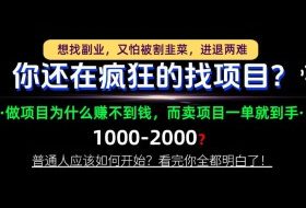 你还在疯狂的找项目?别傻了!卖项目才是真正的一本万利!怎么做,看完你全都明白!【揭秘】